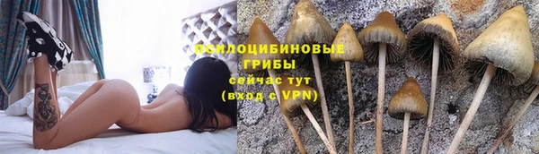 метадон Аркадак