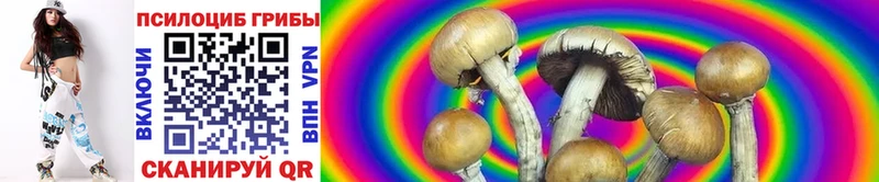 Купить где Нытва Галлюциногенные грибы GOLDEN TEACHER